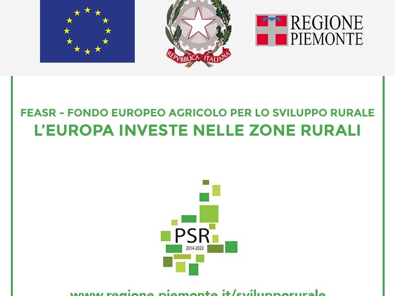 Fondo europeo agricolo per lo sviluppo rurale (anteprima)